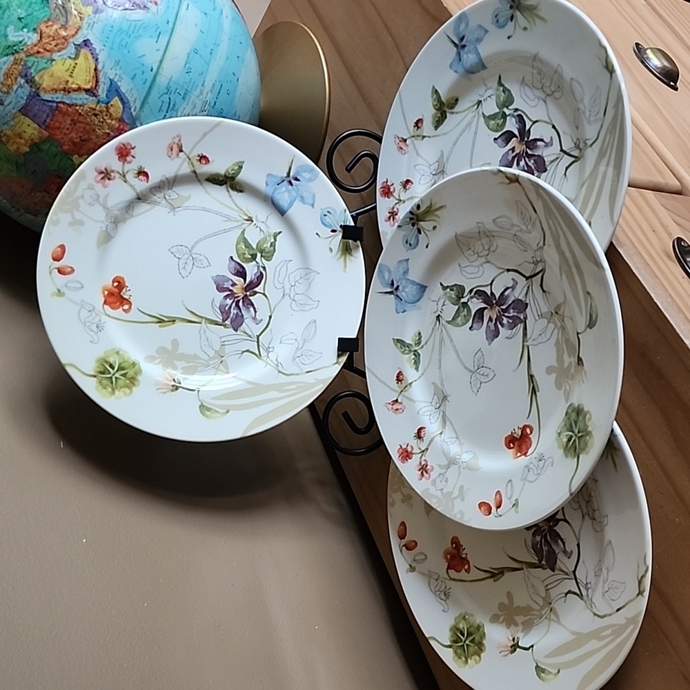 Royal Stafford Sketchbook floral dinner plates